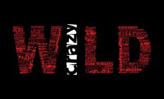 开云体育app-从外交封锁到绿茵战场，澳大利亚的铁幕与罗德里戈的匕首