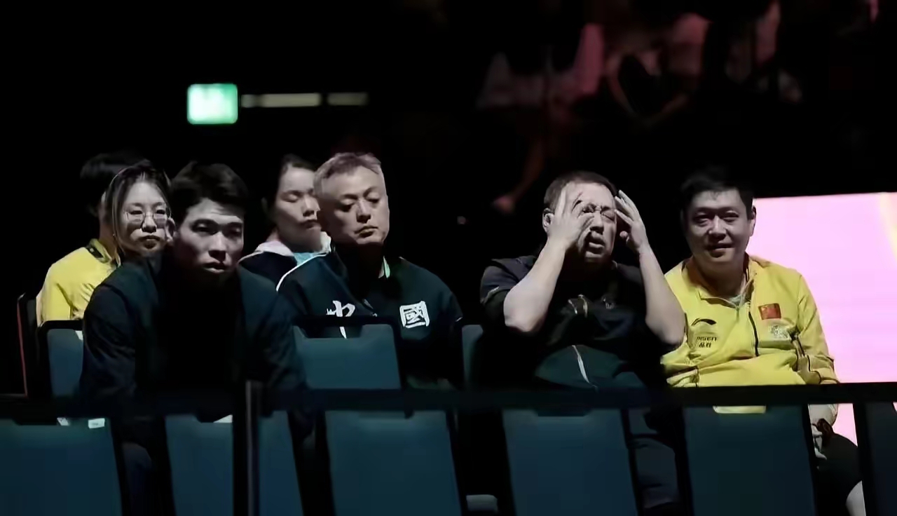 中国羽毛球队血洗丹麦羽毛球队，辛杜制霸全场的简单介绍