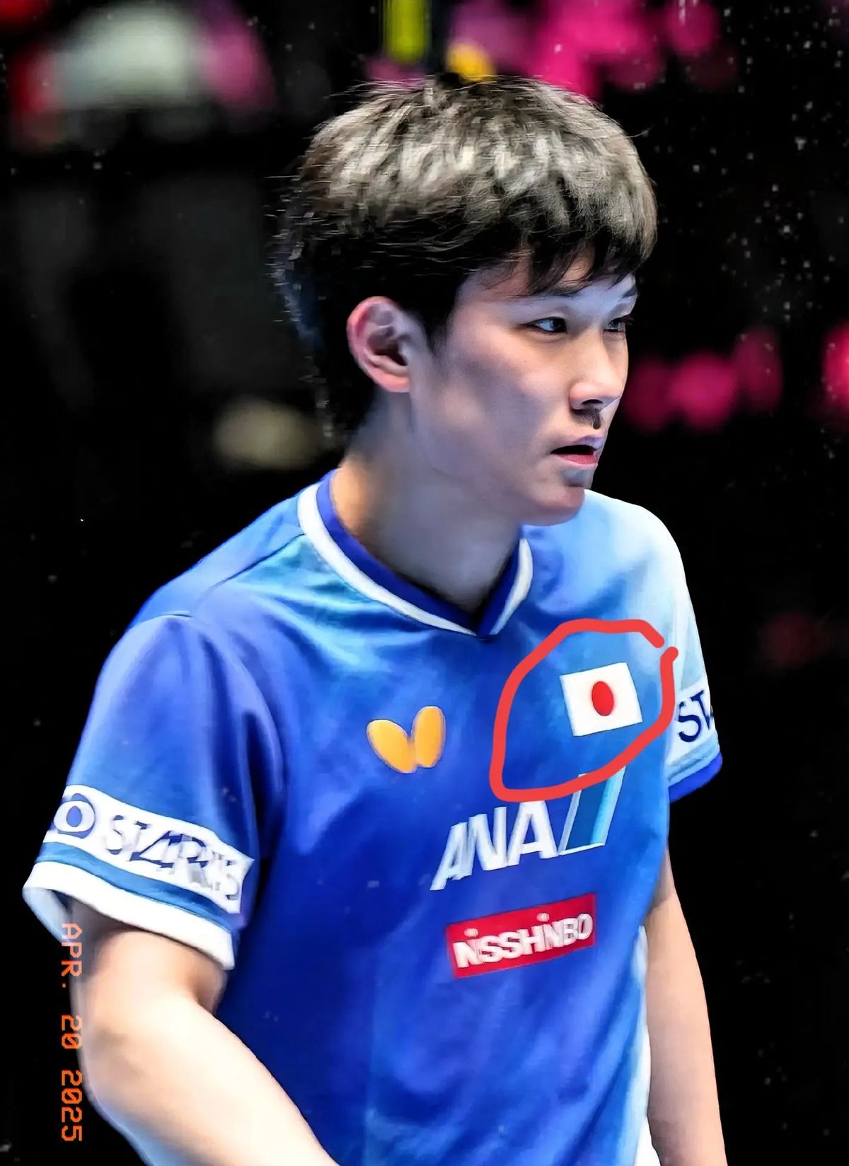 关于日本乒乓球队完胜德国乒乓球队，张本智和高光表现的信息