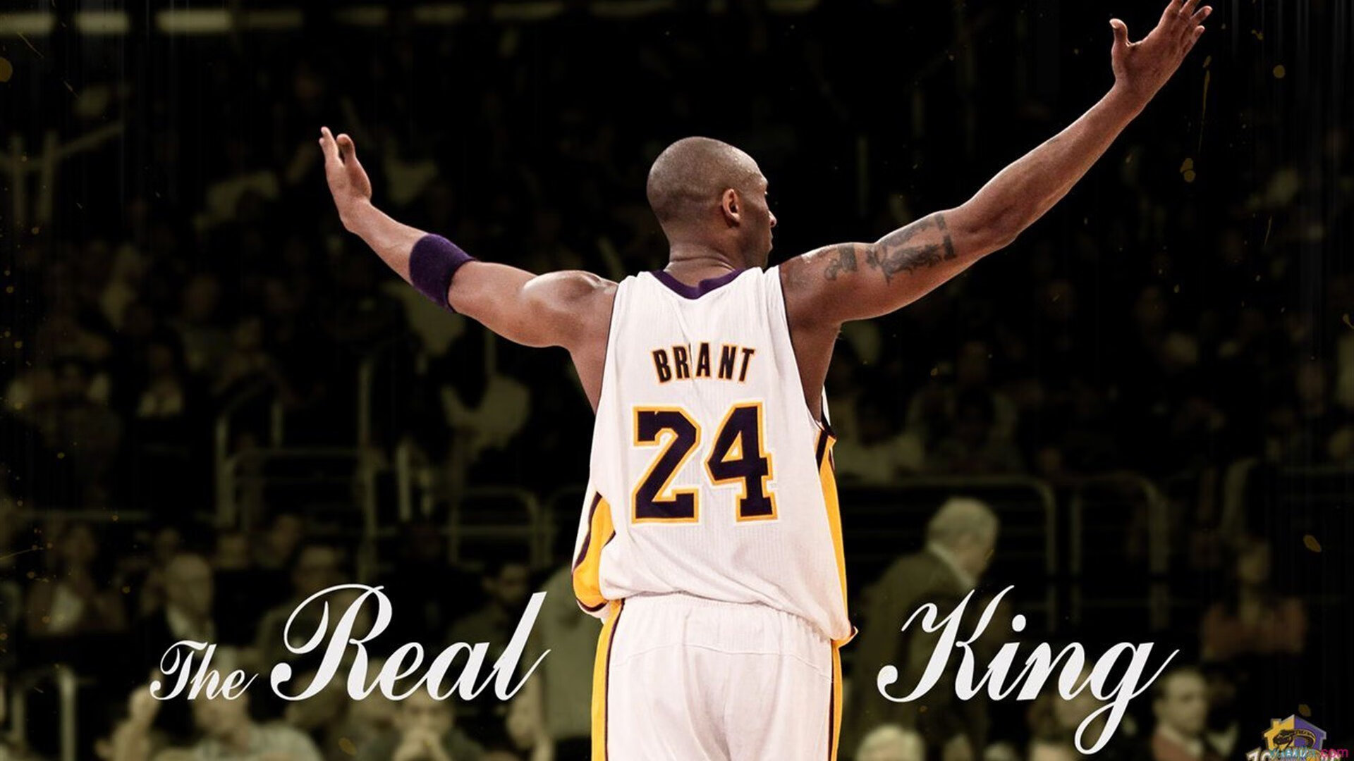 从温网失意到美网封神，德约科维奇如何用逆转书写传奇